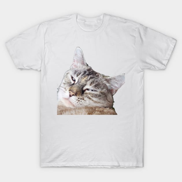 Let me sleep, jeez... T-Shirt by Lyra and Neska